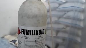 Obat Kutu Beras yang Ampuh Lindungi Gudang Penyimpanan Beras