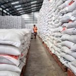 pengendalian hama gudang pangan