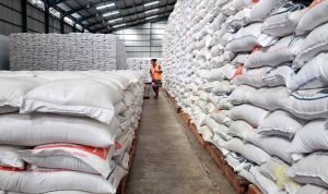 pengendalian hama gudang pangan