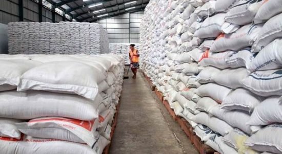 pengendalian hama gudang pangan