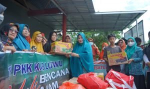 bb6ea3dd-cfad-49dd-9d0d-af9737c6d0bf