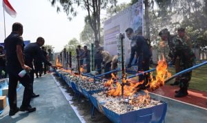 3a447ed2-c84f-4b3f-992a-6e09abf7ee31