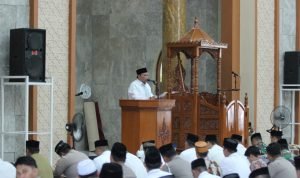 IMG-20240212-WA0110-1536x1023