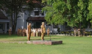 IMG-20240306-WA0086-1536x1024