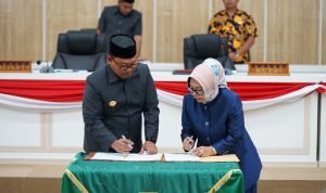 df5bee96-c020-4d6c-b55a-4adc4d40857b