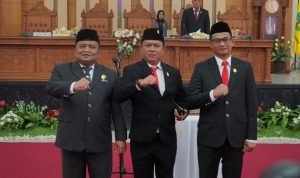 WhatsApp Image 2024-10-23 at 17.52.05