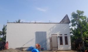 WhatsApp Image 2024-11-01 at 08.09.52