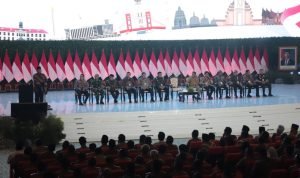 WhatsApp Image 2024-11-09 at 07.58.35