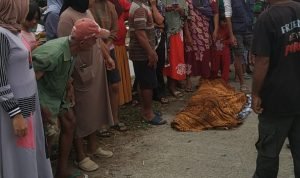 WhatsApp Image 2024-12-26 at 12.52.58