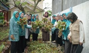 8cc1f557-ecd6-4bb3-9753-c357c2fdad05