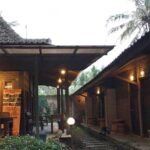 Menemukan Kedamaian di Borobudur: Panduan Memilih Tempat Menginap Terbaik