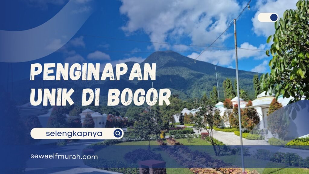 Penginapan Unik Borobudur: Lebih dari Sekadar Tempat Menginap, Sebuah Pengalaman Budaya