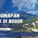 Penginapan Unik Borobudur: Lebih dari Sekadar Tempat Menginap, Sebuah Pengalaman Budaya